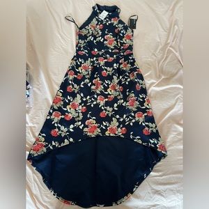 Ross hi low dress 12